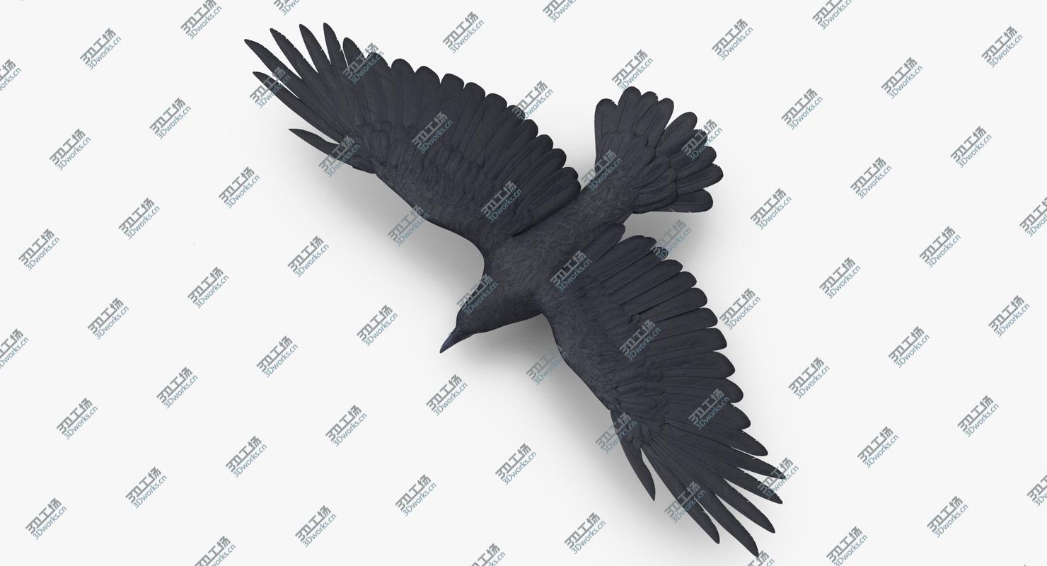 images/goods_img/2021040234/Crow 03/3.jpg